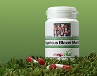 Agaricus Blazei Murrill - ABM Hochwertige Extrakte aus dem Sortiment von maguVital aus Sulzbach-Rosenberg