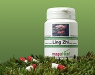Ling Zhi Hochwertige Extrakte aus dem Sortiment von maguVital aus Sulzbach-Rosenberg